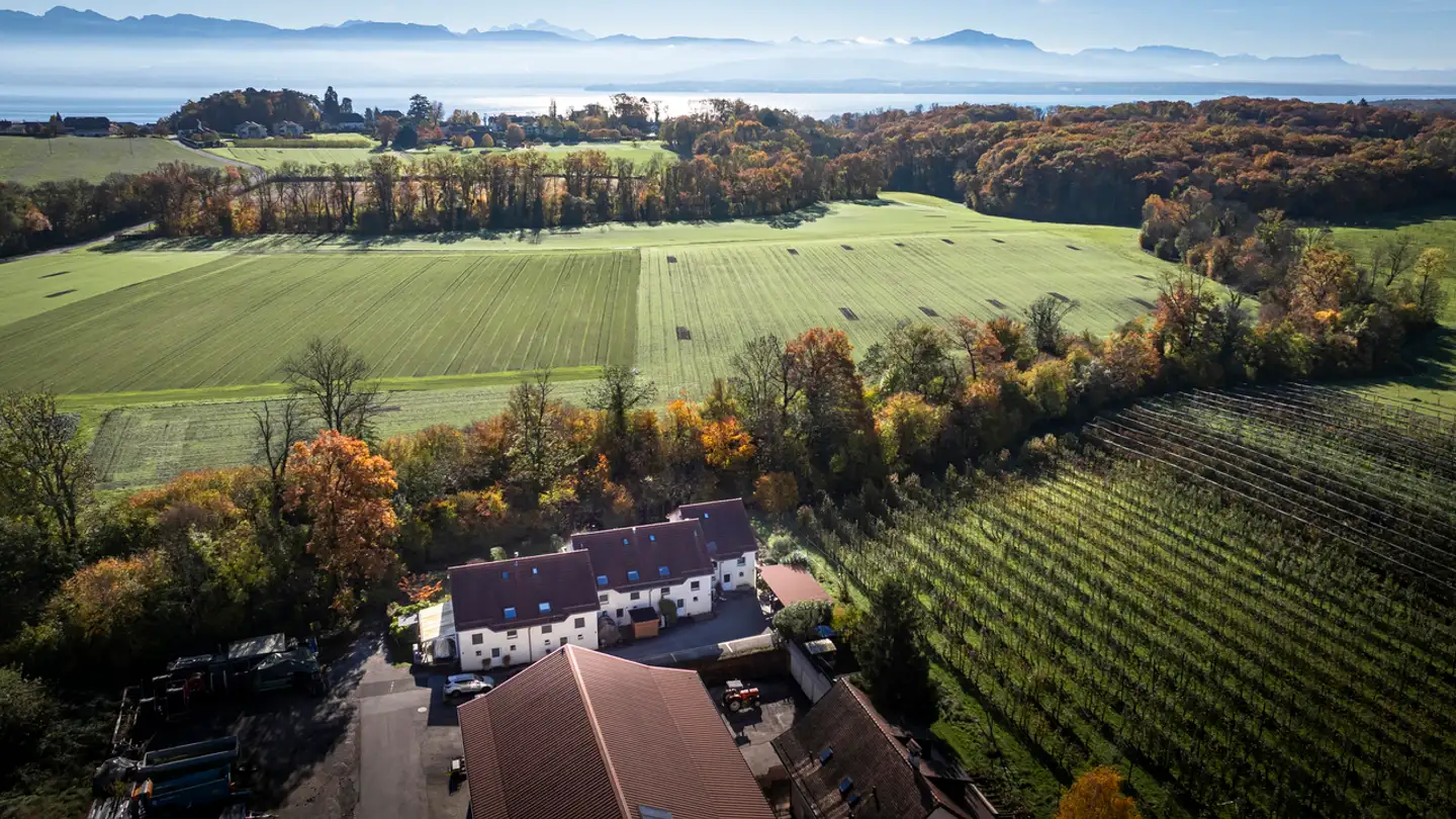 Casa a schiera in vendita - 1184 Luins - Photo 2