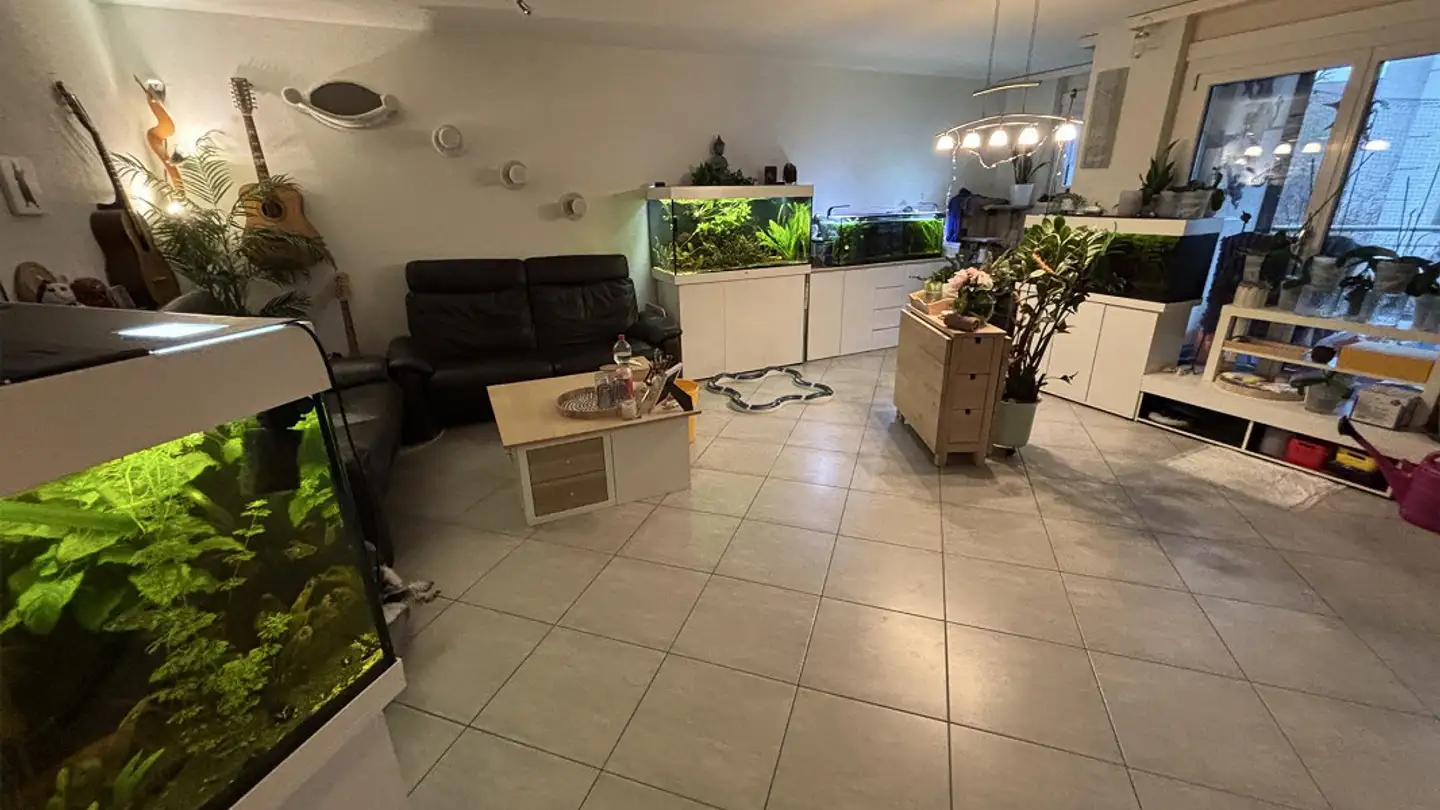 Wohnung mieten - Litzistrasse 2d, 8917 Oberlunkhofen