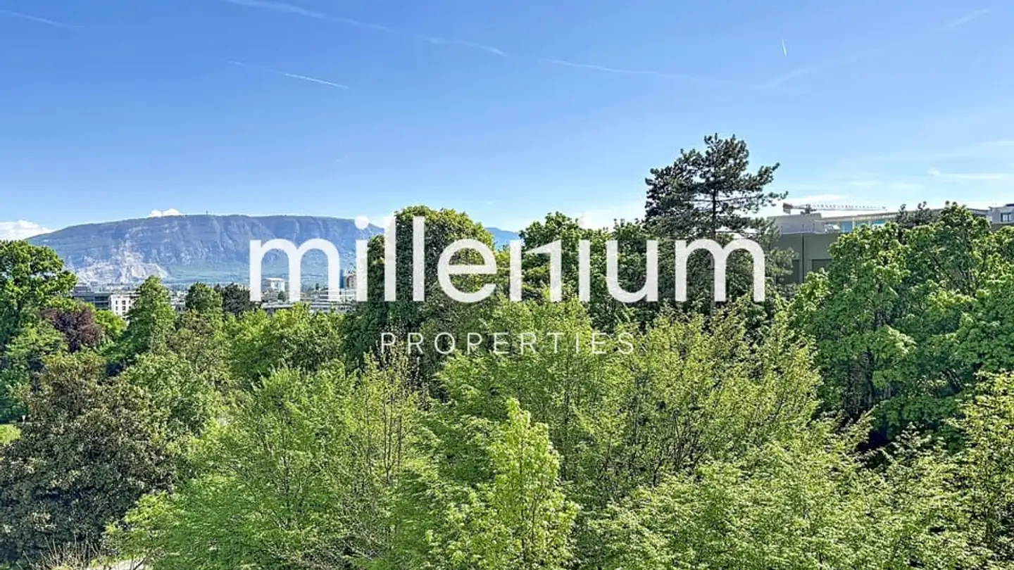 Appartement à vendre - 1209 Genève - Photo 4