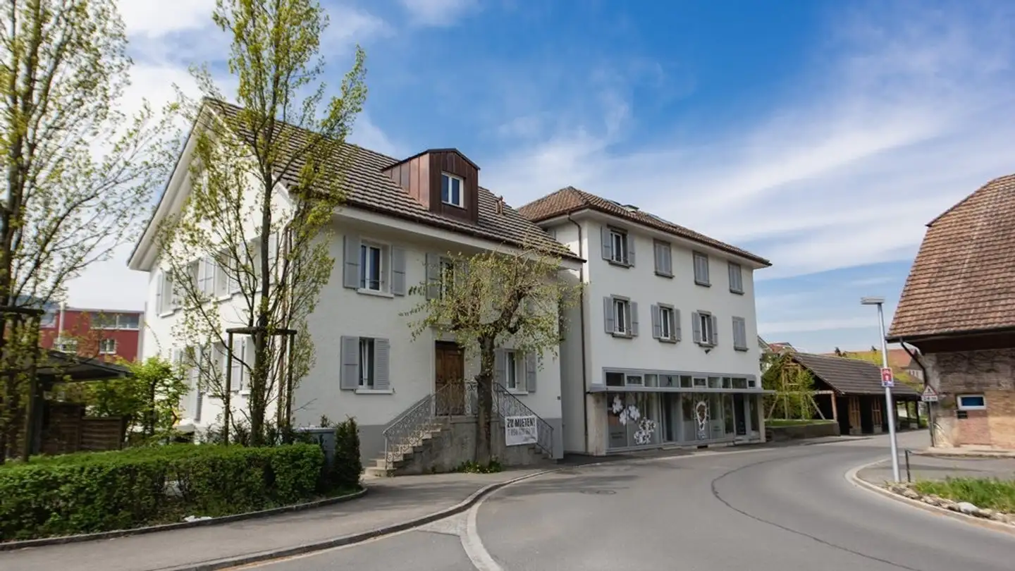 Commercial à louer - Alte Strasse 50, 5734 Reinach AG