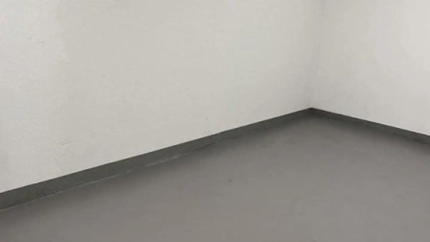 Spazio di archiviazione in affitto - Avenue Des Morgines 12, 1213 Petit-Lancy - Foto 4