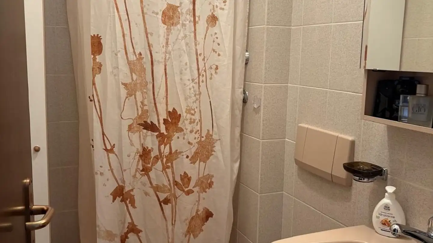 Appartamento in affitto - Via Bernardino Quadri 8, 6982 Agno - Photo 4