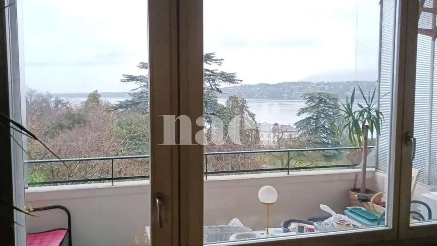 Appartamento in affitto - Parc Du Château-Banquet 20, 1202 Genève - Foto 2