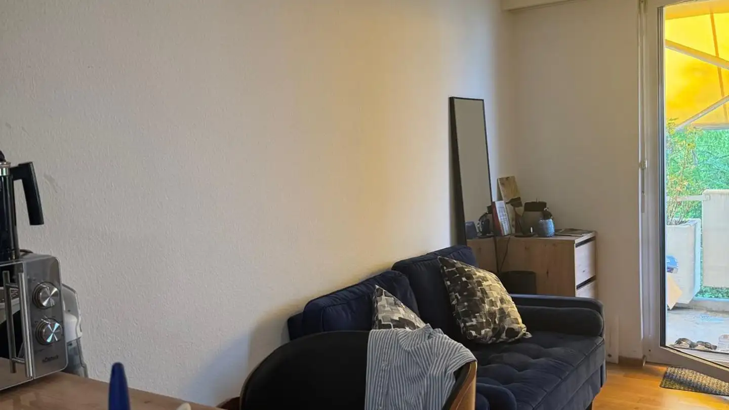 Wohnung mieten - 8952 Schlieren