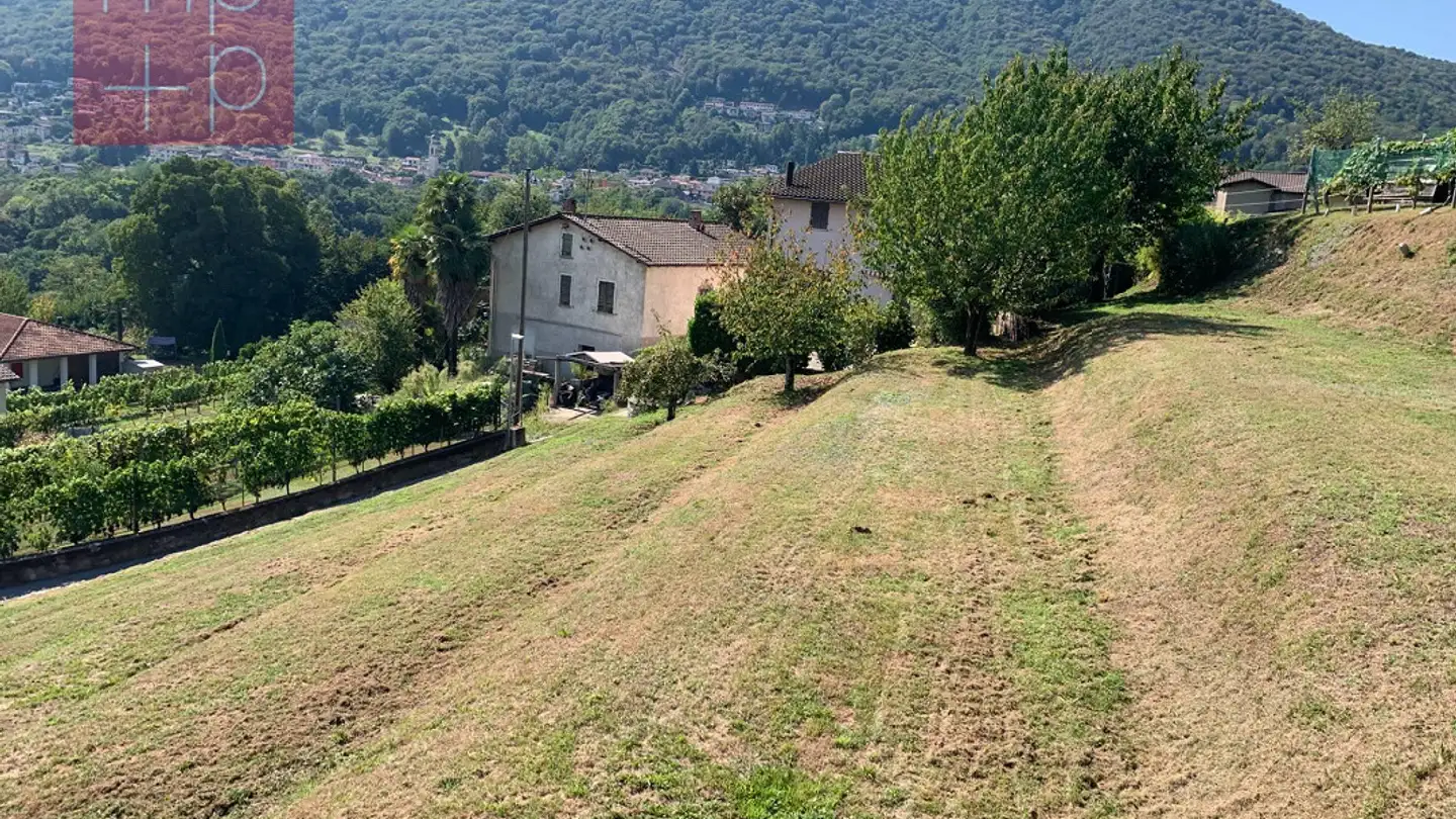 Constructible plot for sale - 6991 Neggio - Photo 2