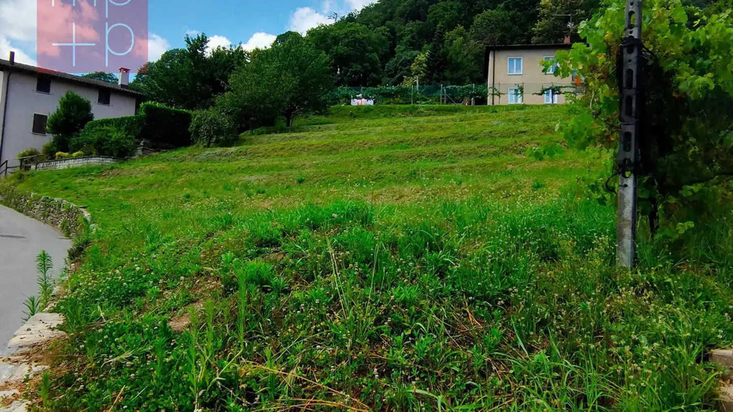 Constructible plot for sale - 6991 Neggio - Photo 4