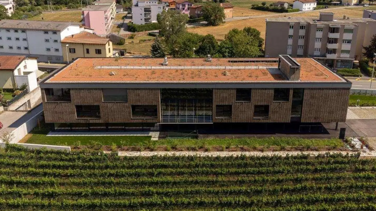 Appartement à louer - 6854 S. Pietro - Photo 4