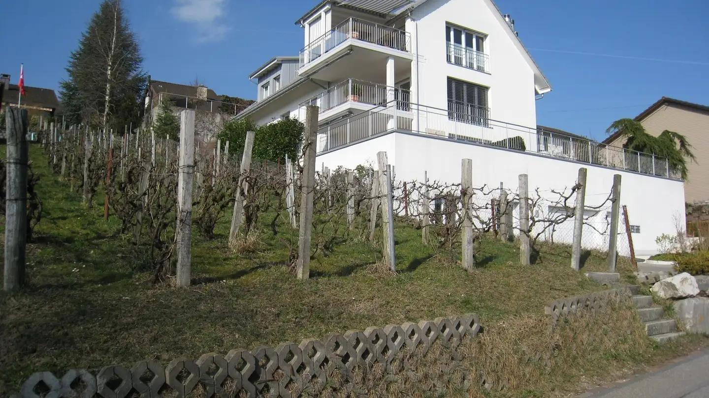 Apartment for rent - 8107 Buchs ZH - Photo 2