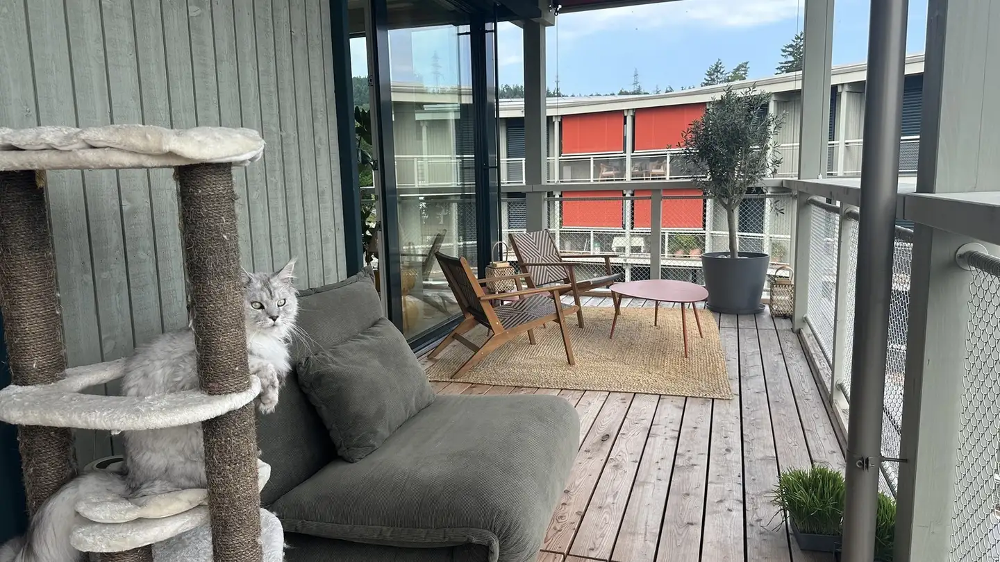 Appartement à louer - 8800 Thalwil - Photo 4