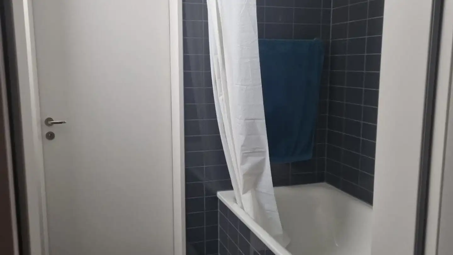 Appartamento ammobiliato in affitto - Pfingstweidstrasse 104, 8005 Zürich - Foto 4