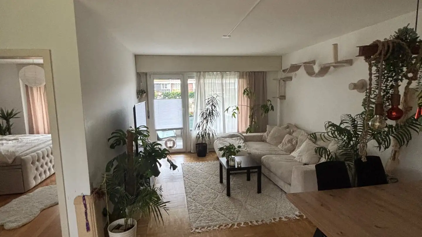 Appartement à louer - Kappelenring 12c, 3032 Hinterkappelen - Photo 2