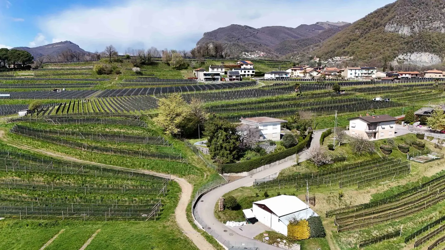 Bauland kaufen - 6873 Corteglia - Foto 2