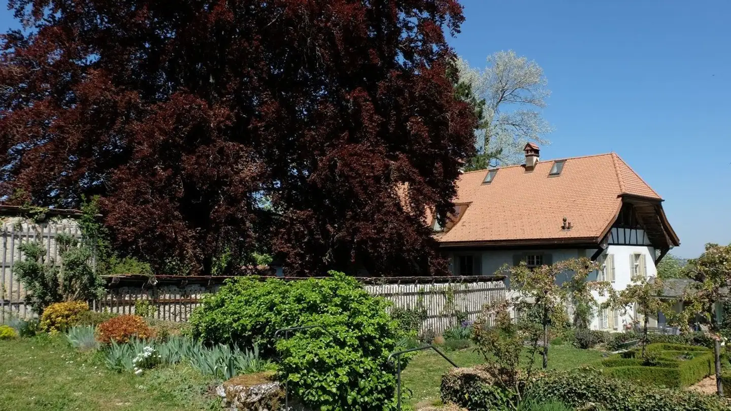 Wohnung mieten - Römerswil 7, 1717 St. Ursen