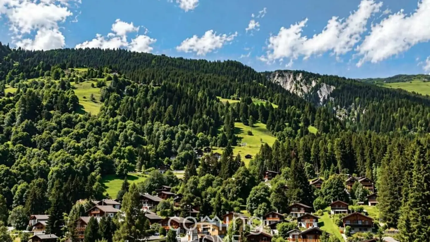 Commercial for sale - 3914 Blatten b. Naters - Photo 4