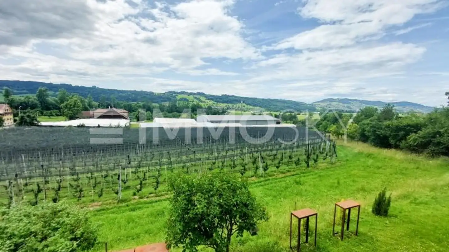 Appartamento in vendita - 6286 Altwis