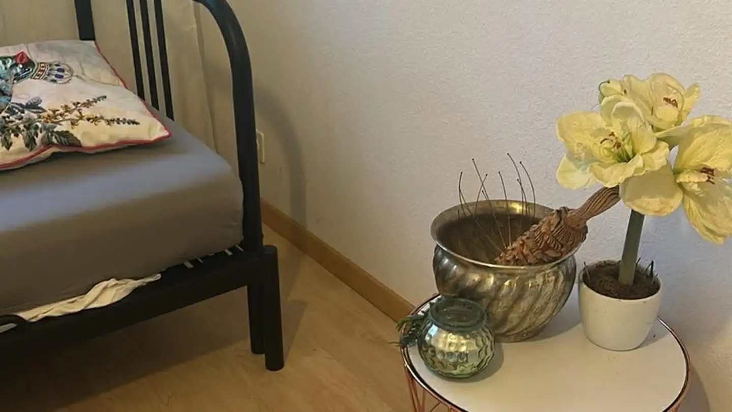Chambre à louer - 8820 Wädenswil - Photo 4