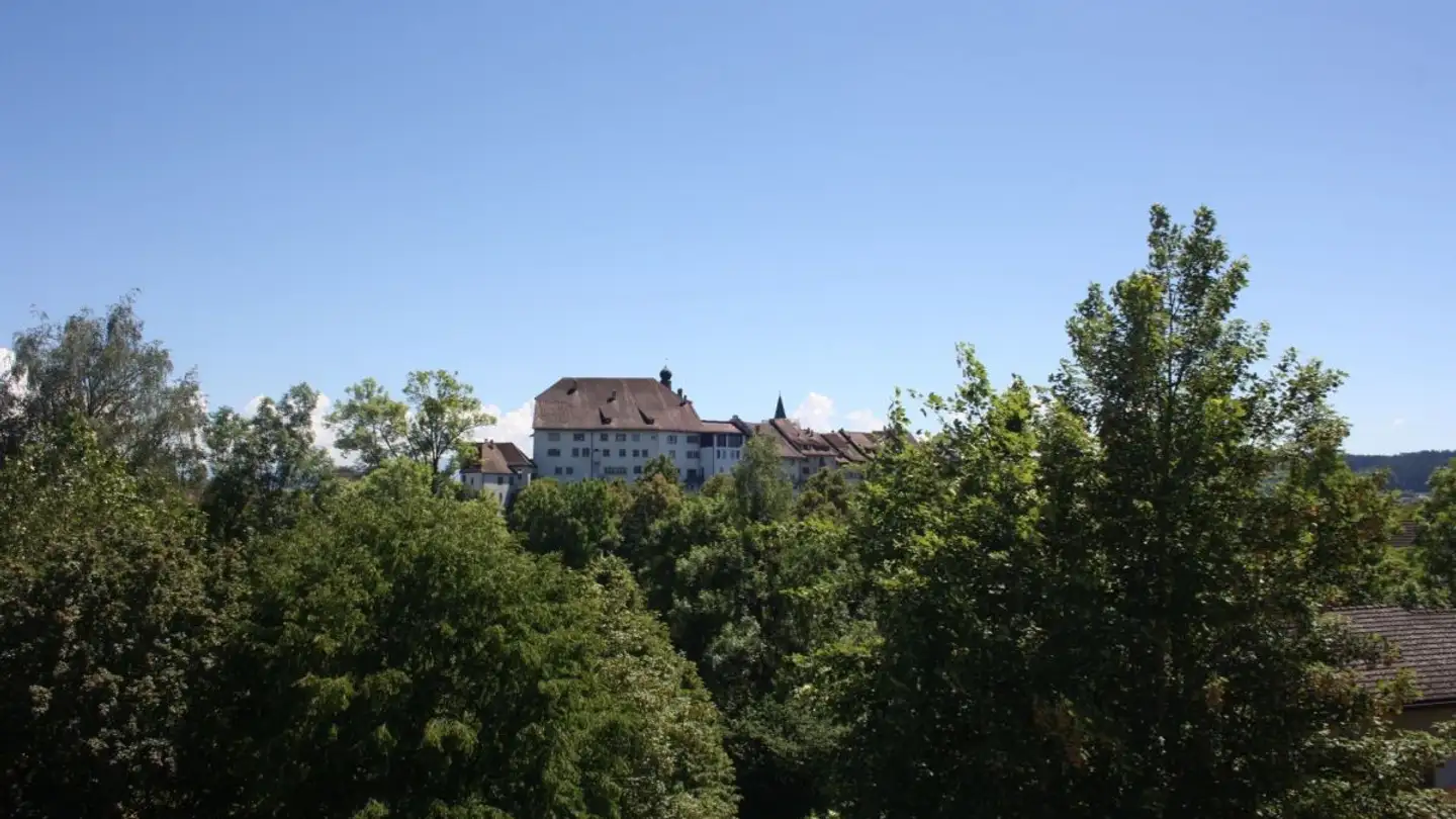 Duplex in vendita - Hofbergstrasse 22, 9500 Wil SG - Photo 4