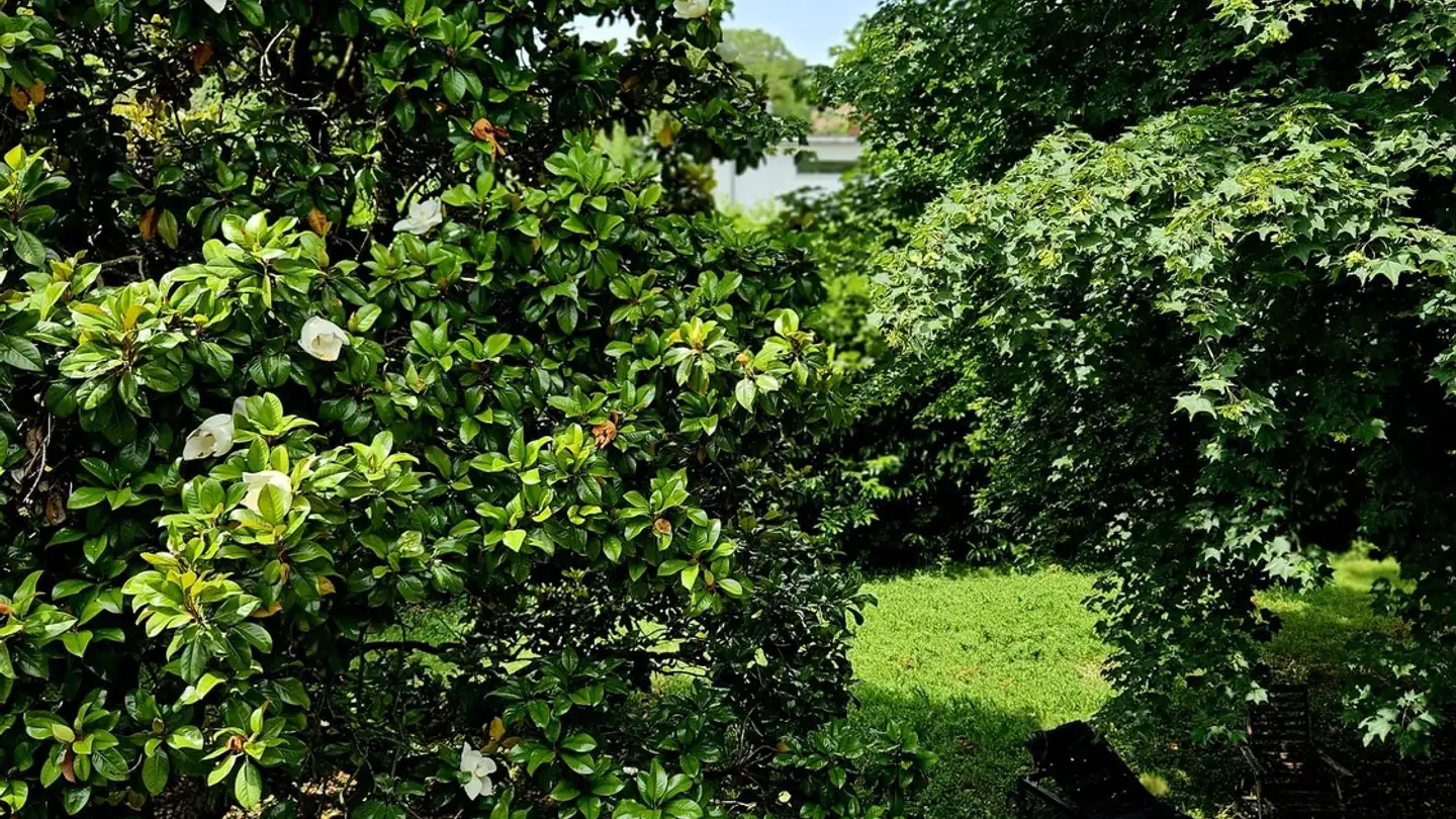 Einfamilienhaus mieten - Chemin Des Mésanges 18, 1226 Thônex - Foto 3