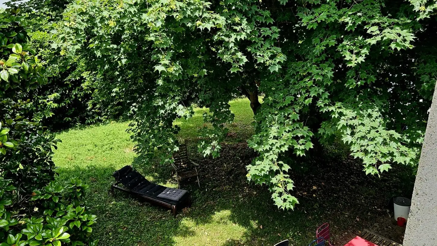 Einfamilienhaus mieten - Chemin Des Mésanges 18, 1226 Thônex - Foto 4