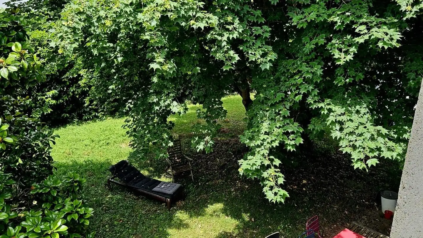 Einfamilienhaus mieten - Chemin Des Mésanges 18, 1226 Thônex - Foto 2