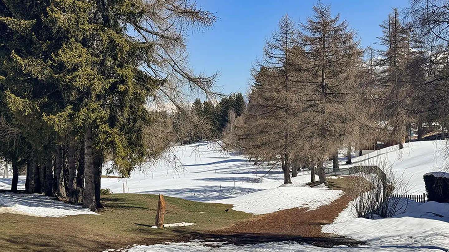 Einfamilienhaus kaufen - 3963 Crans-Montana