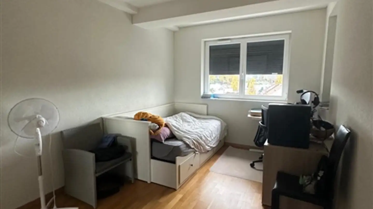 Appartamento in affitto - Pont De Carouge, 1227 Carouge GE - Foto 3