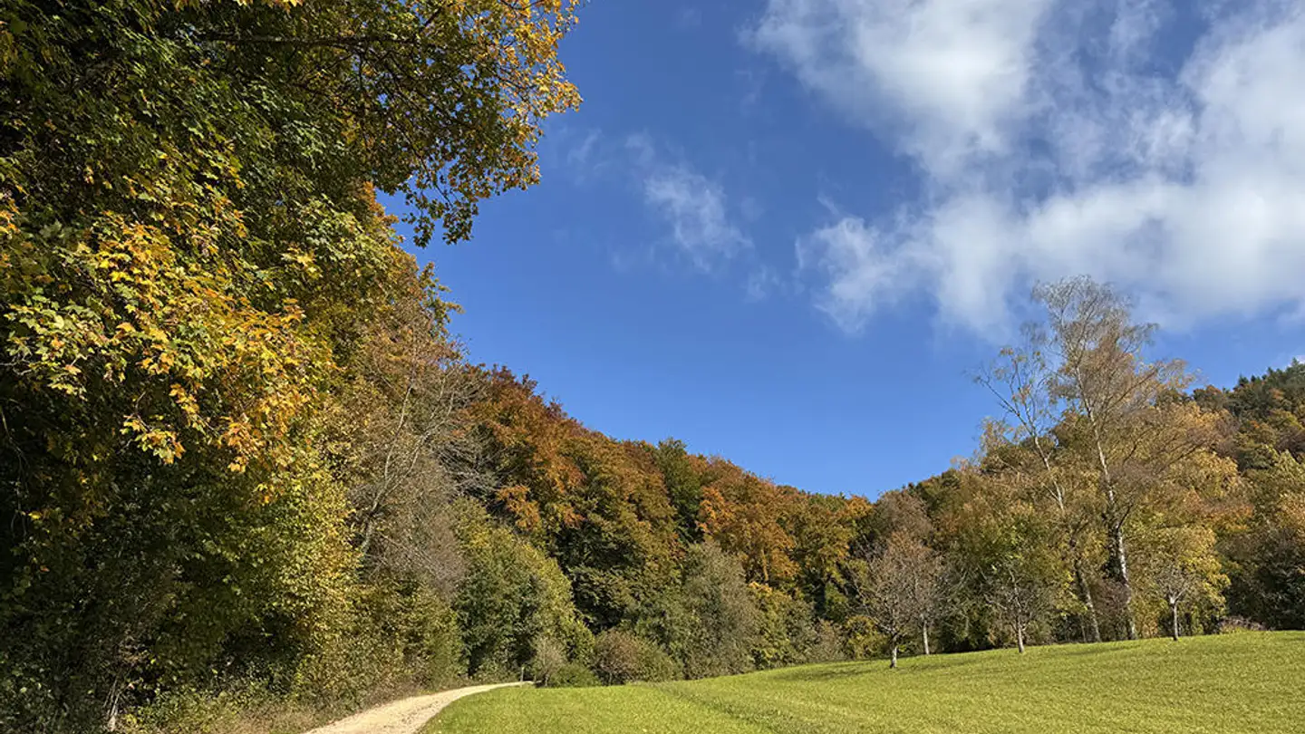 Villa à vendre - 1295 Tannay