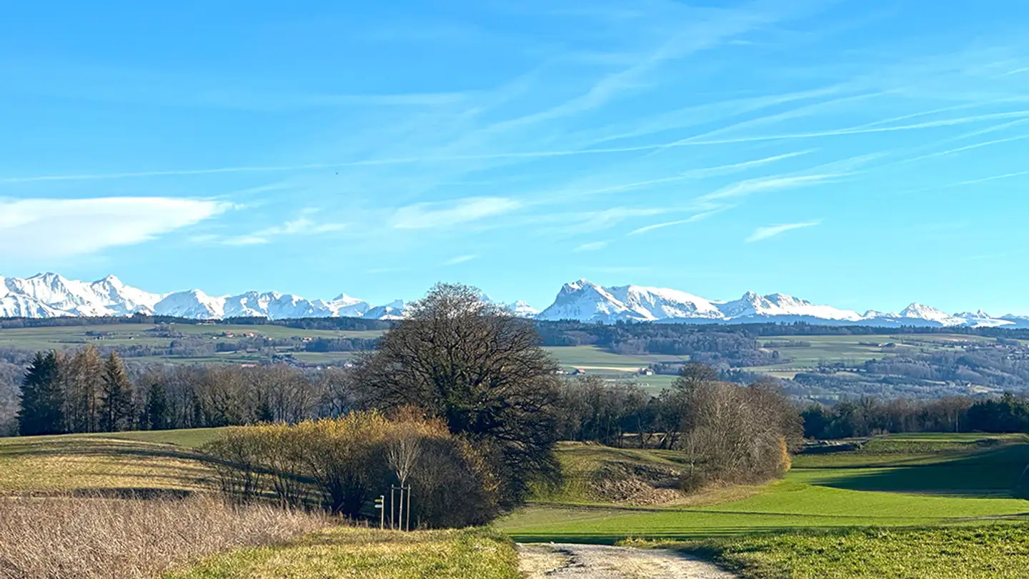 Immeuble résidentiel à vendre - 1482 Cugy FR - Photo 3