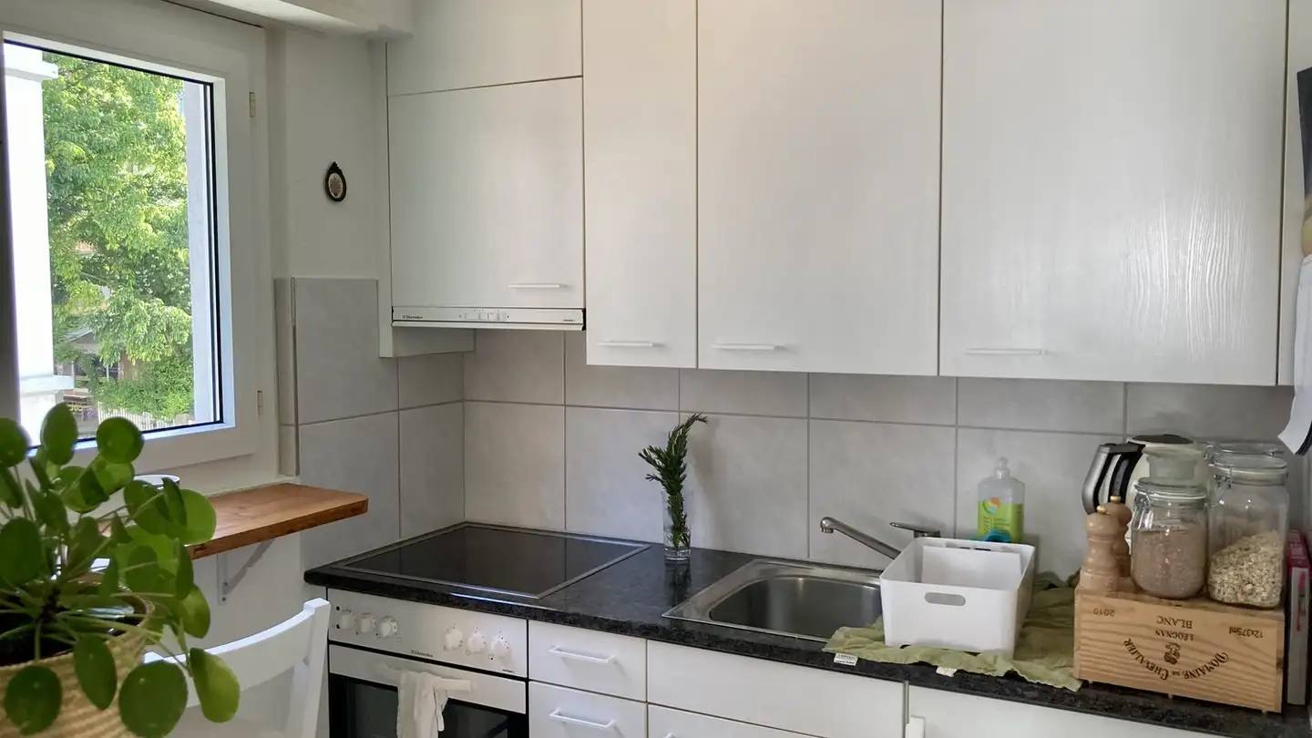Appartamento in affitto - Lägernstrasse 25, 8037 Zürich - Foto 4