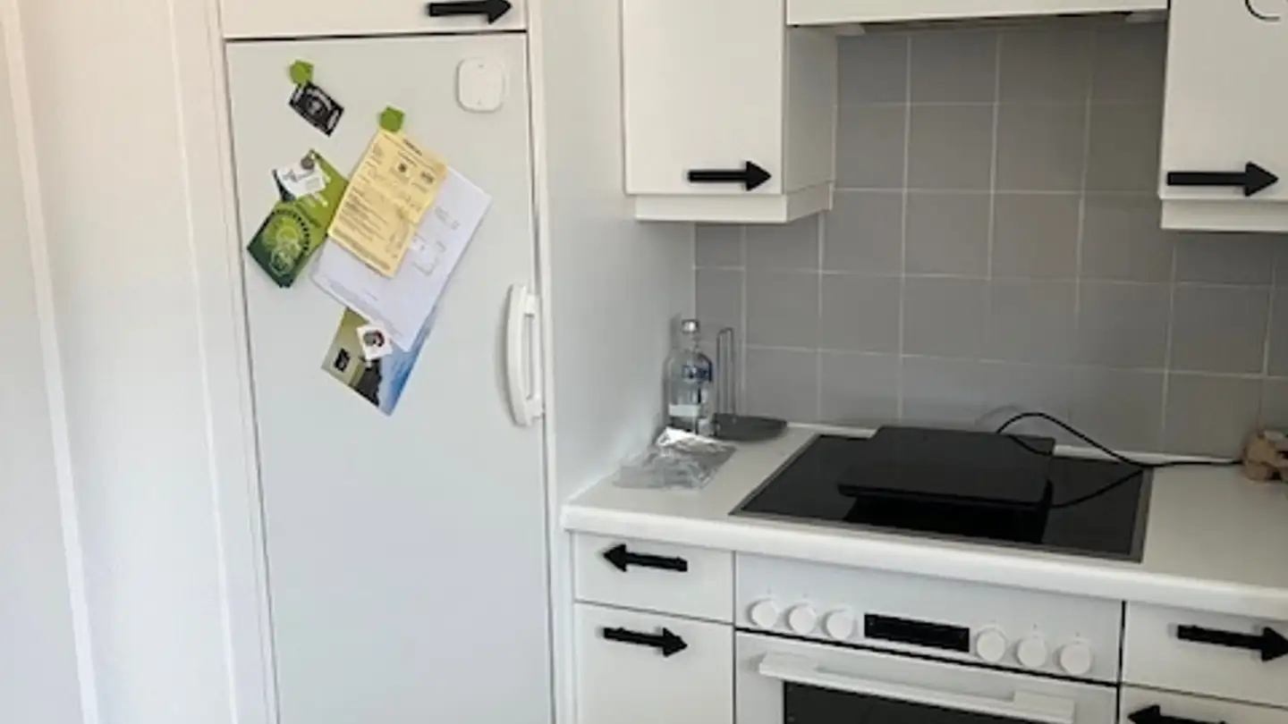 Furnished apartment for rent - 6825 Capolago - Photo 4