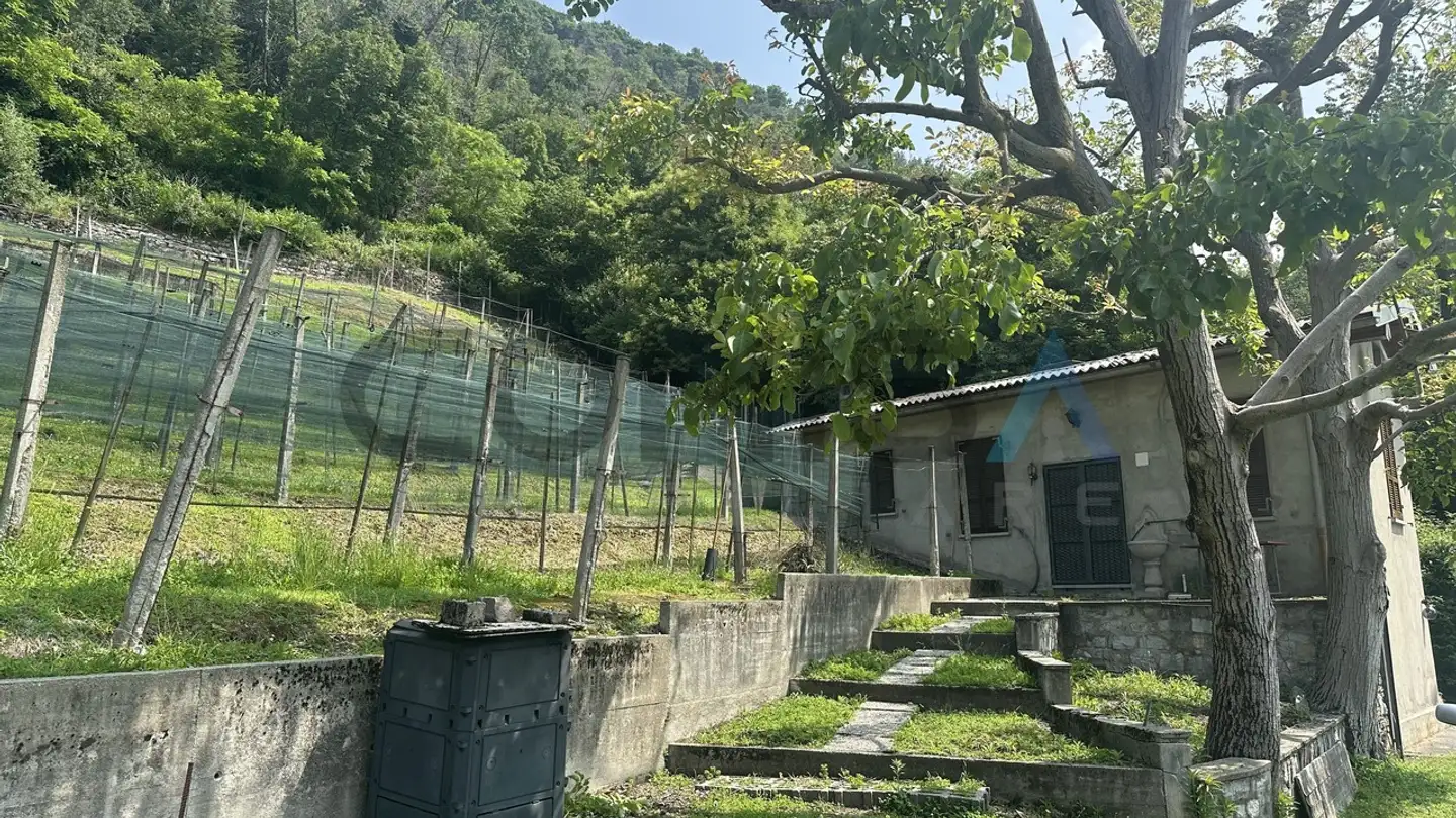 Terreno edificabile in vendita - Via Obino, 6874 Castel San Pietro - Photo 3