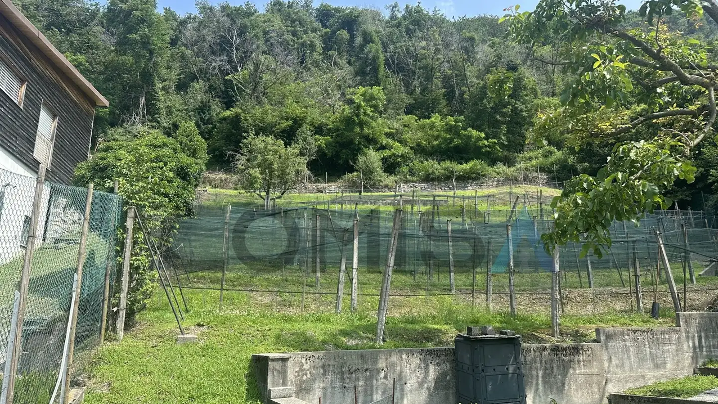 Terreno edificabile in vendita - Via Obino, 6874 Castel San Pietro - Photo 2