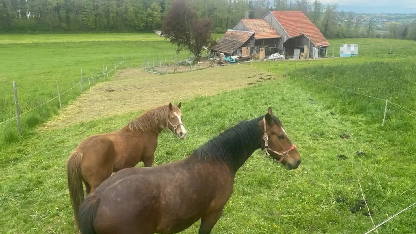 Single house for sale - 1756 Lovens