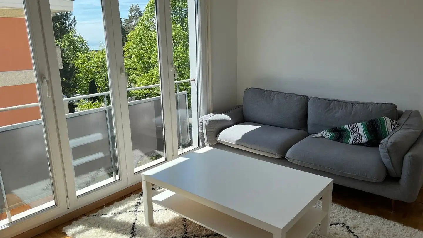 Appartamento in affitto - Chemin Des Allières 2, 1012 Lausanne