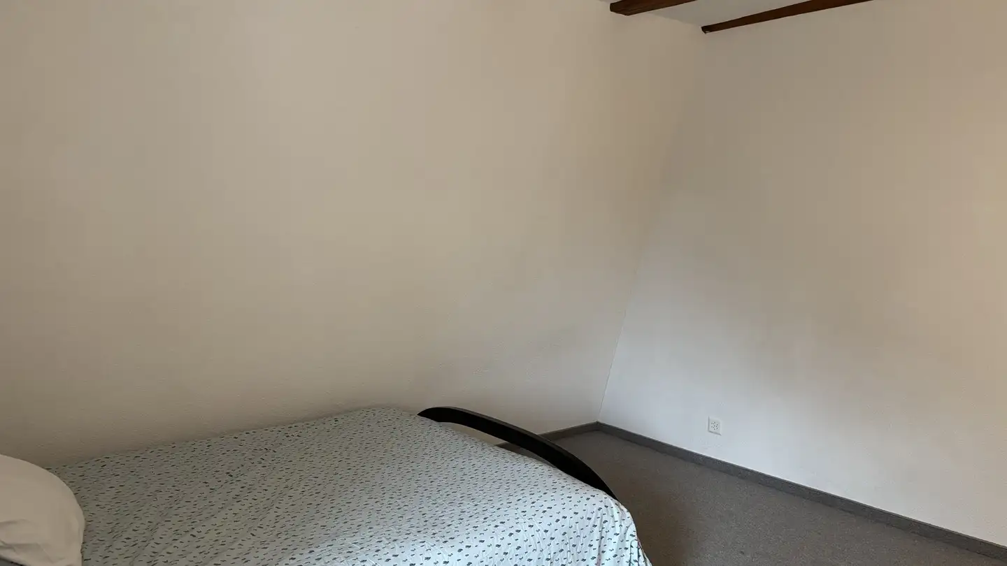 Single room for rent - Adetswilerstrasse 16, 8344 Bäretswil - Photo 3
