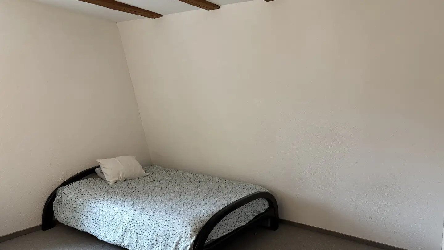 Single room for rent - Adetswilerstrasse 16, 8344 Bäretswil - Photo 4