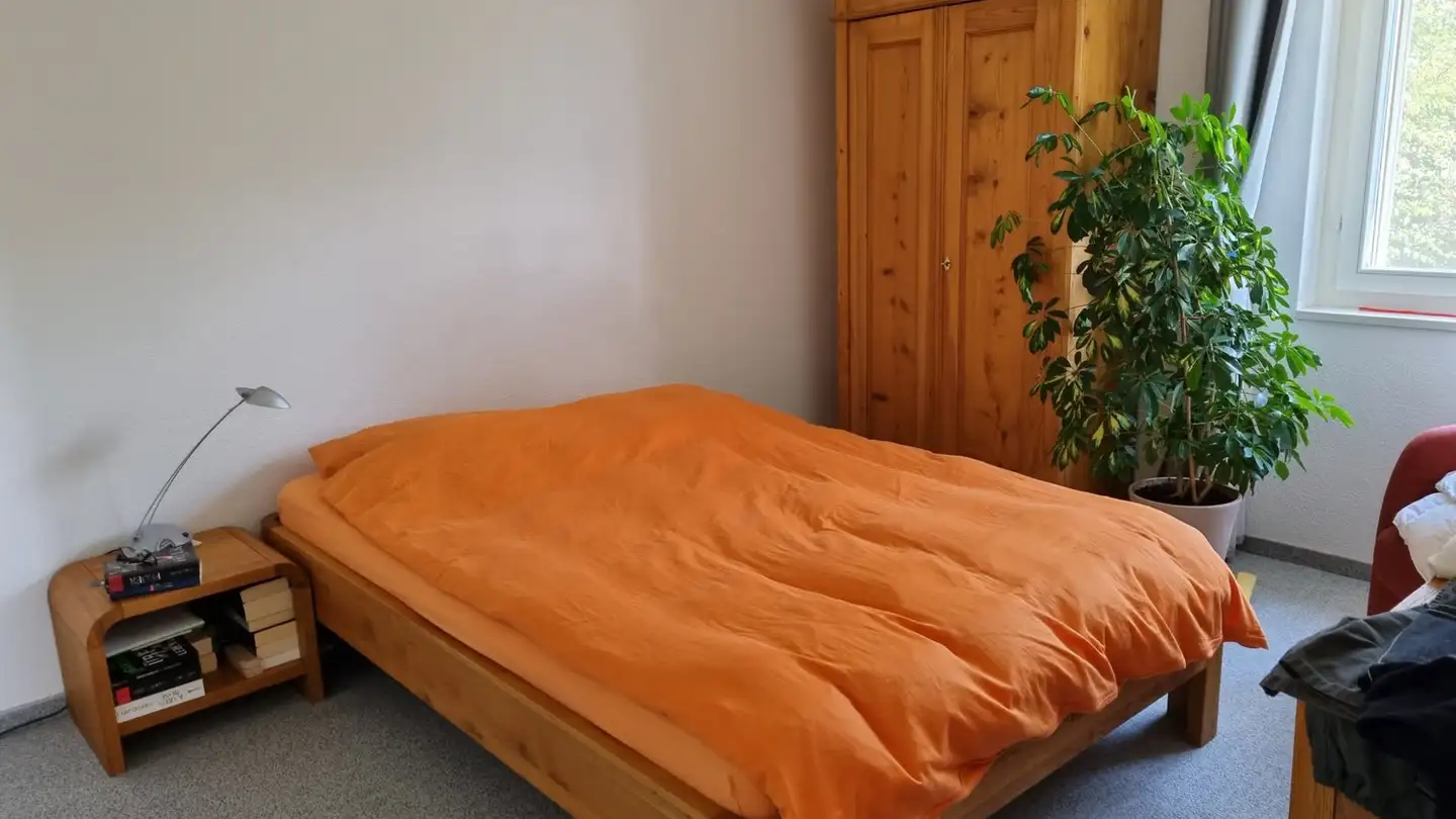Appartamento in affitto - Diethelmstrasse 40, 6363 Fürigen - Foto 3