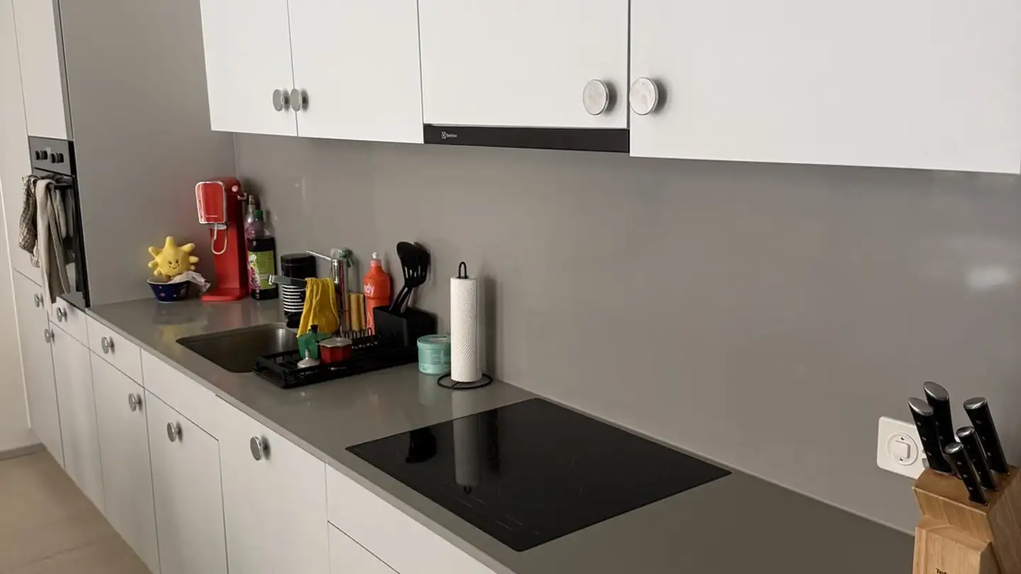 Appartement à louer - Sulzerallee 76, 8404 Winterthur - Photo 2