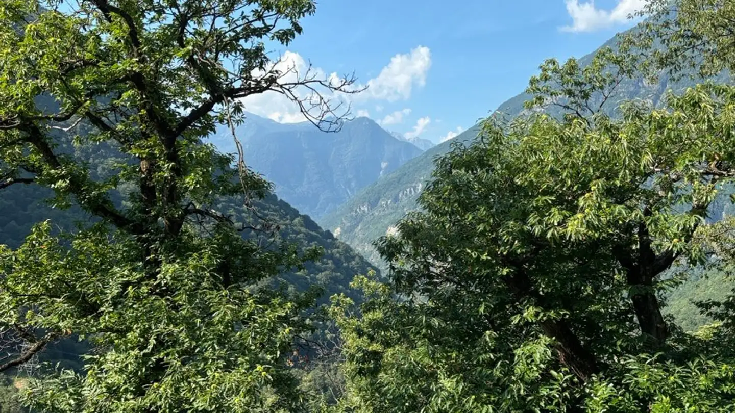 Casa singola in vendita - 6692 Brontallo - Photo 3