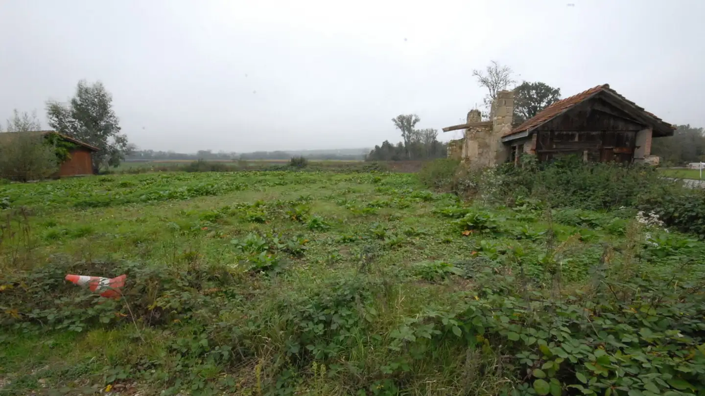 Terrain constructible à vendre - Route D'avenches, 1580 Donatyre
