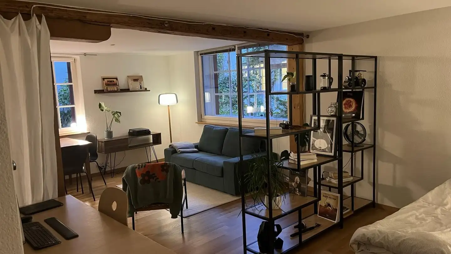 Appartamento in affitto - Tösstalstrasse 8b, 8400 Winterthur - Foto 3