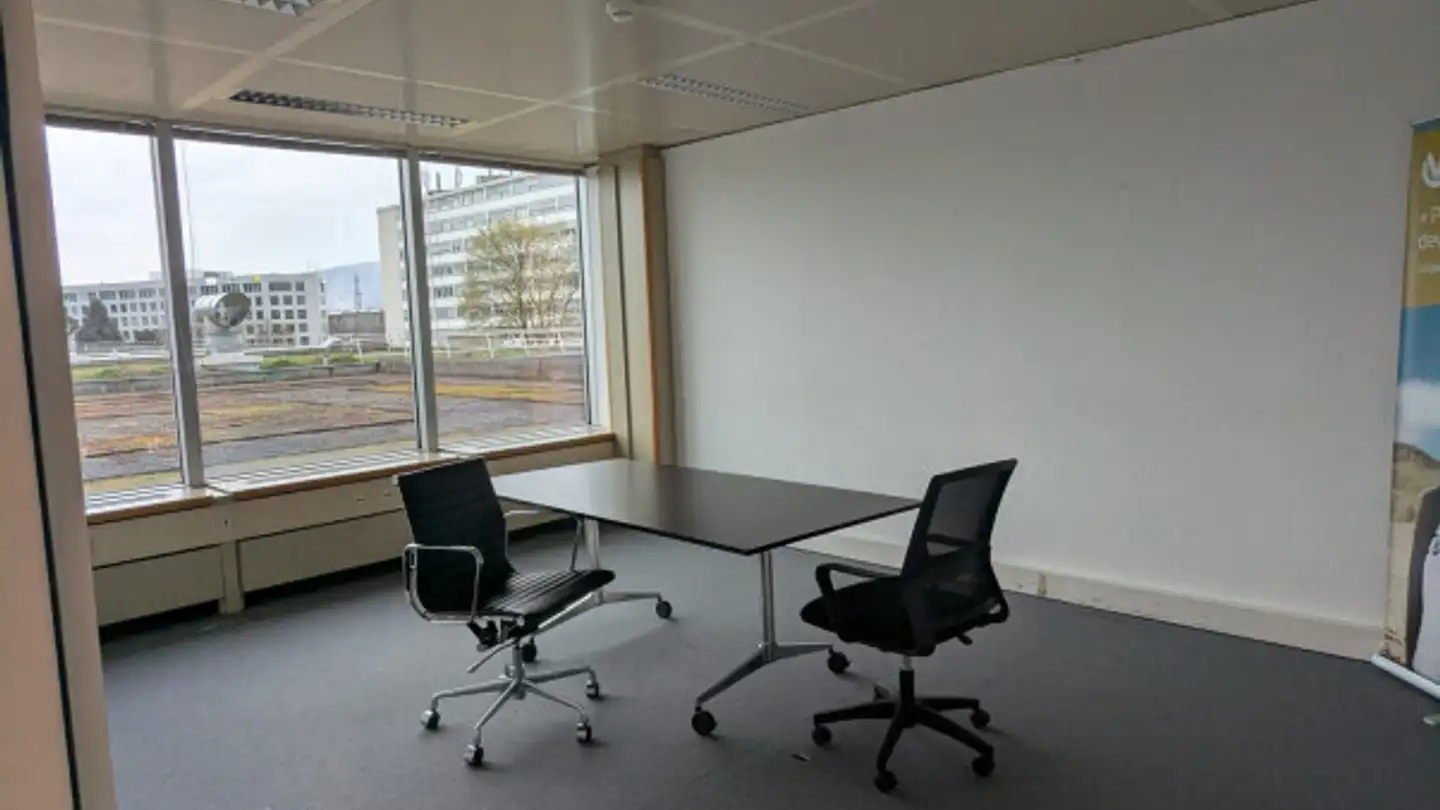 Commercial for rent - Chemin Des Coquelicots 16, 1214 Vernier