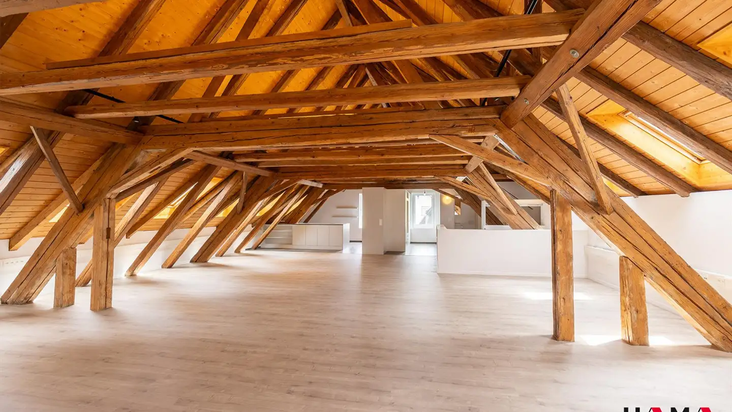 Loft à louer - Luzernerstrasse 12, 4665 Oftringen