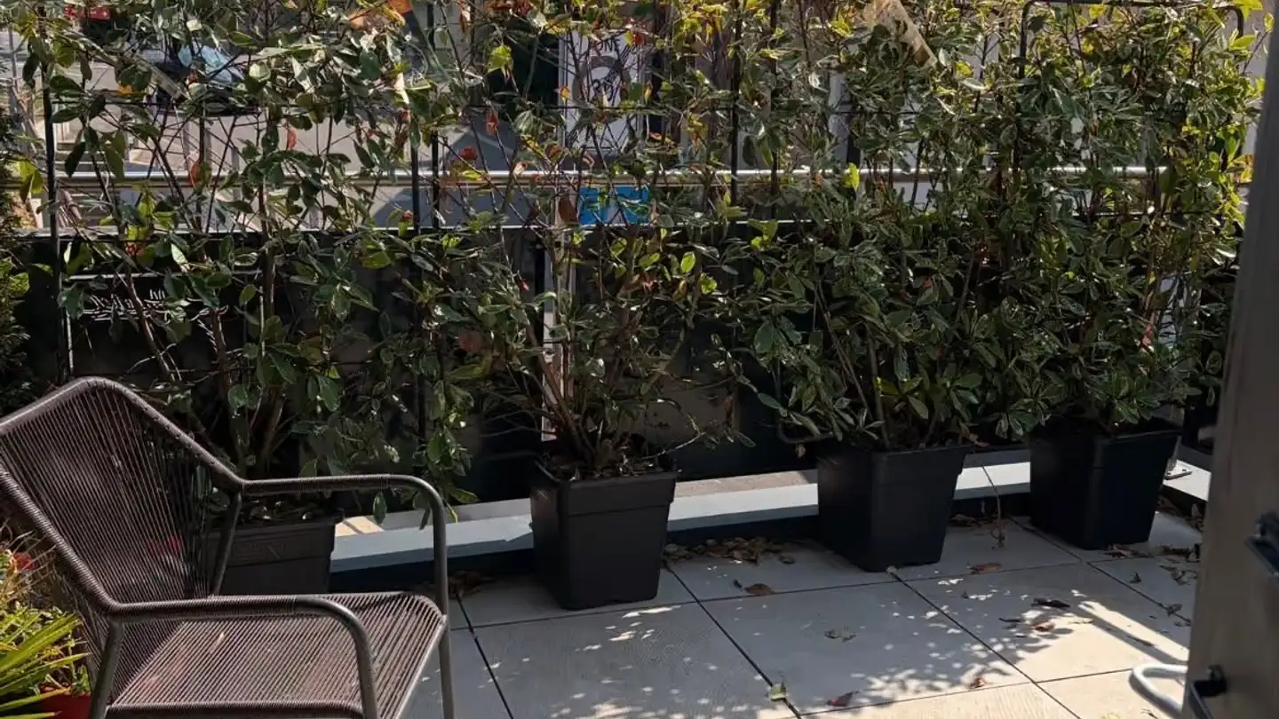 Appartement à louer - Grand-Rue 11, 1426 Concise - Photo 3