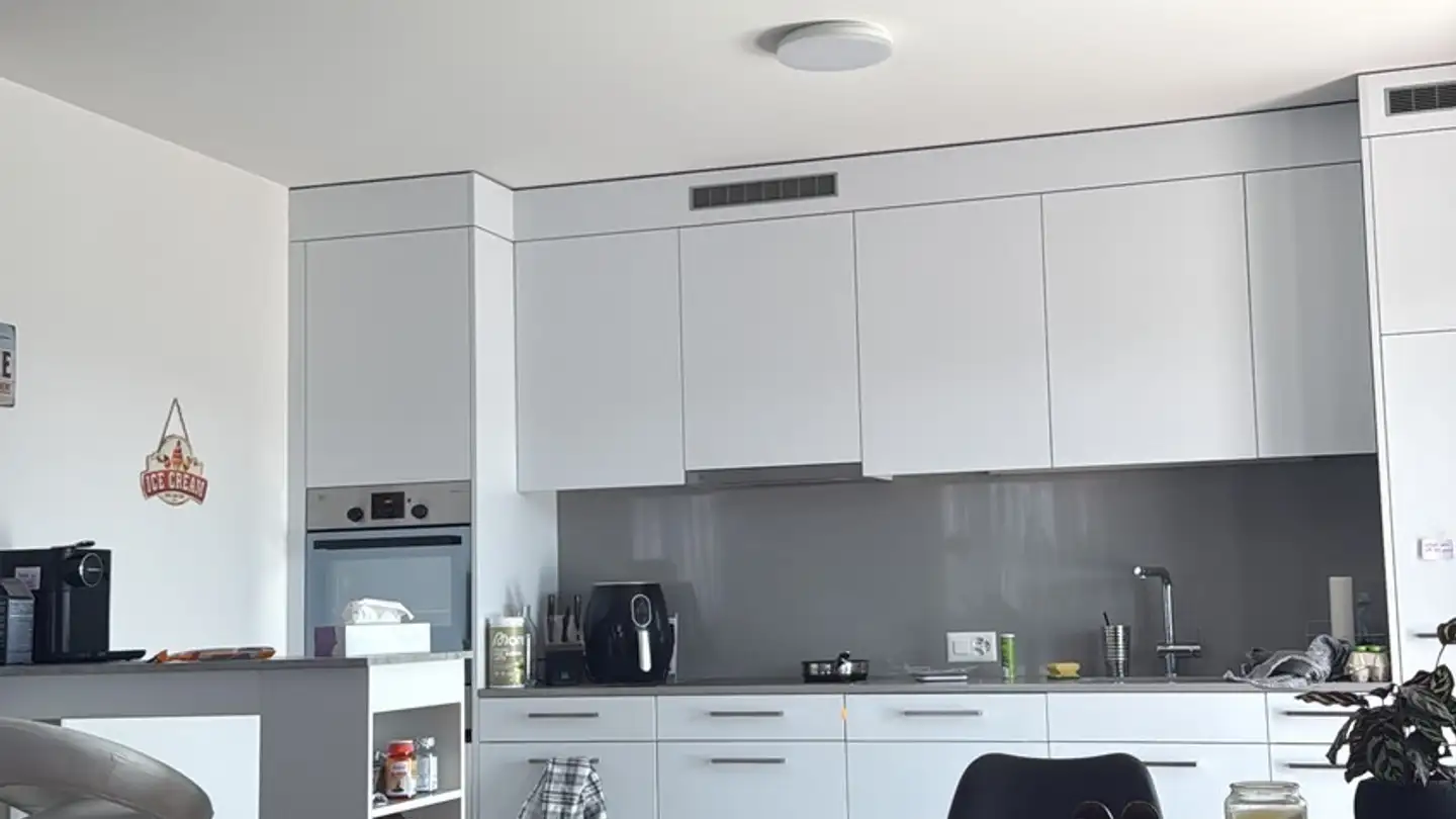 Appartamento in affitto - 8610 Uster - Foto 4