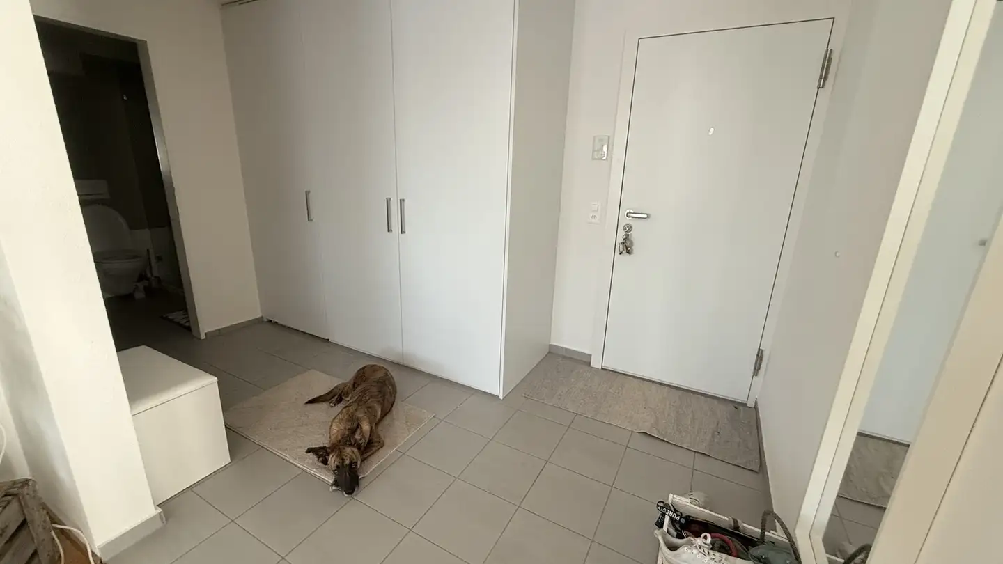 Appartamento in affitto - 8610 Uster - Foto 3