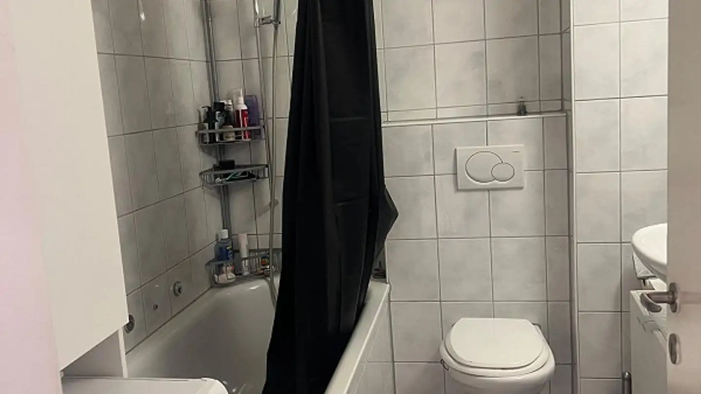 Chambre à louer - Imbisbühlstrasse 3, 8049 Zürich - Photo 3