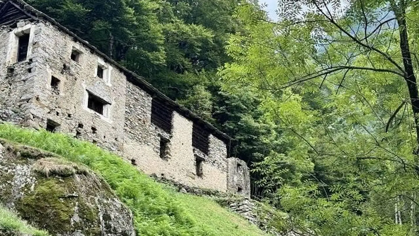 Cave house for sale - 6694 Prato-Sornico