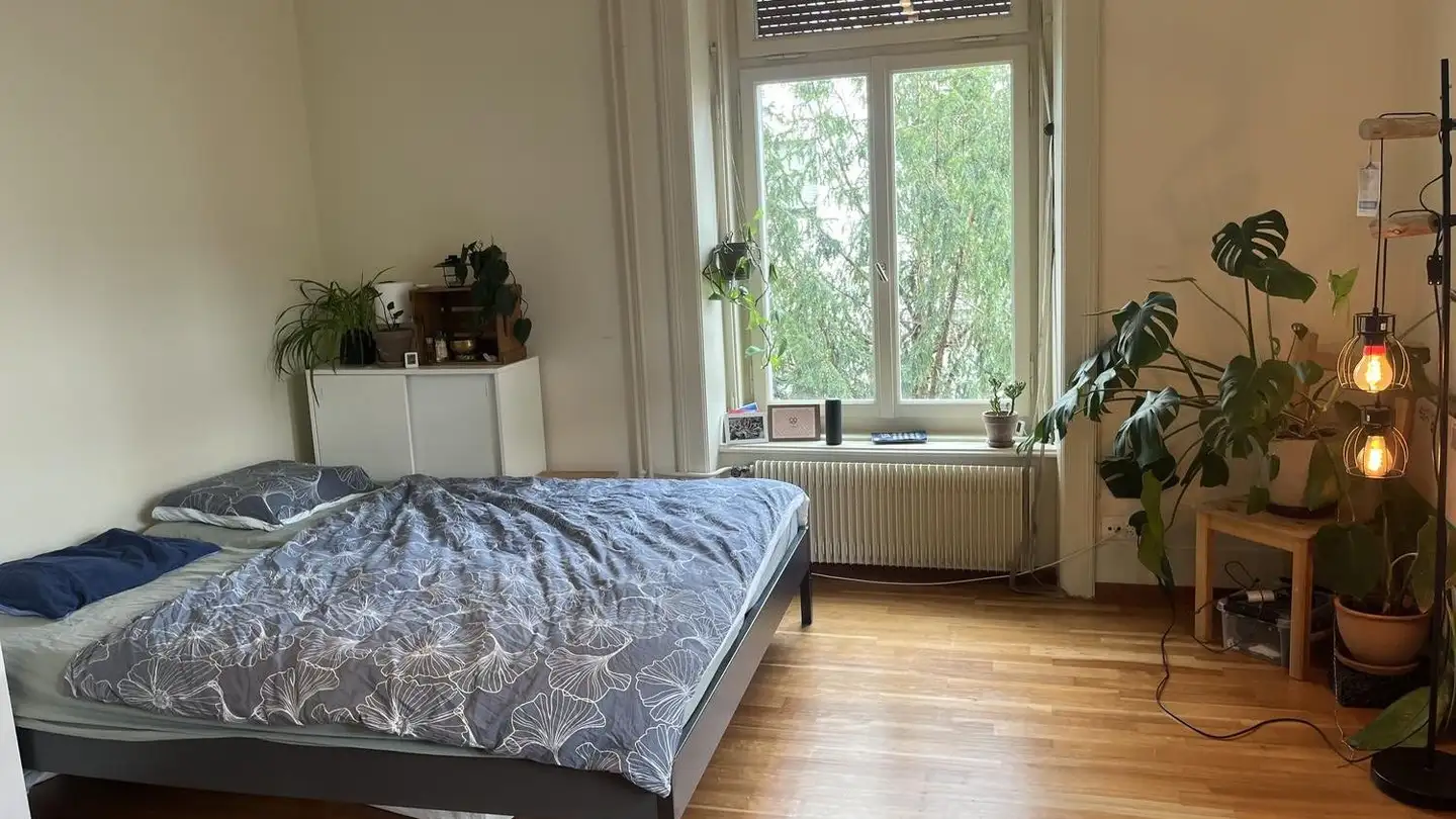 Stanza singola in affitto - Maihofstrasse 29, 6004 Luzern
