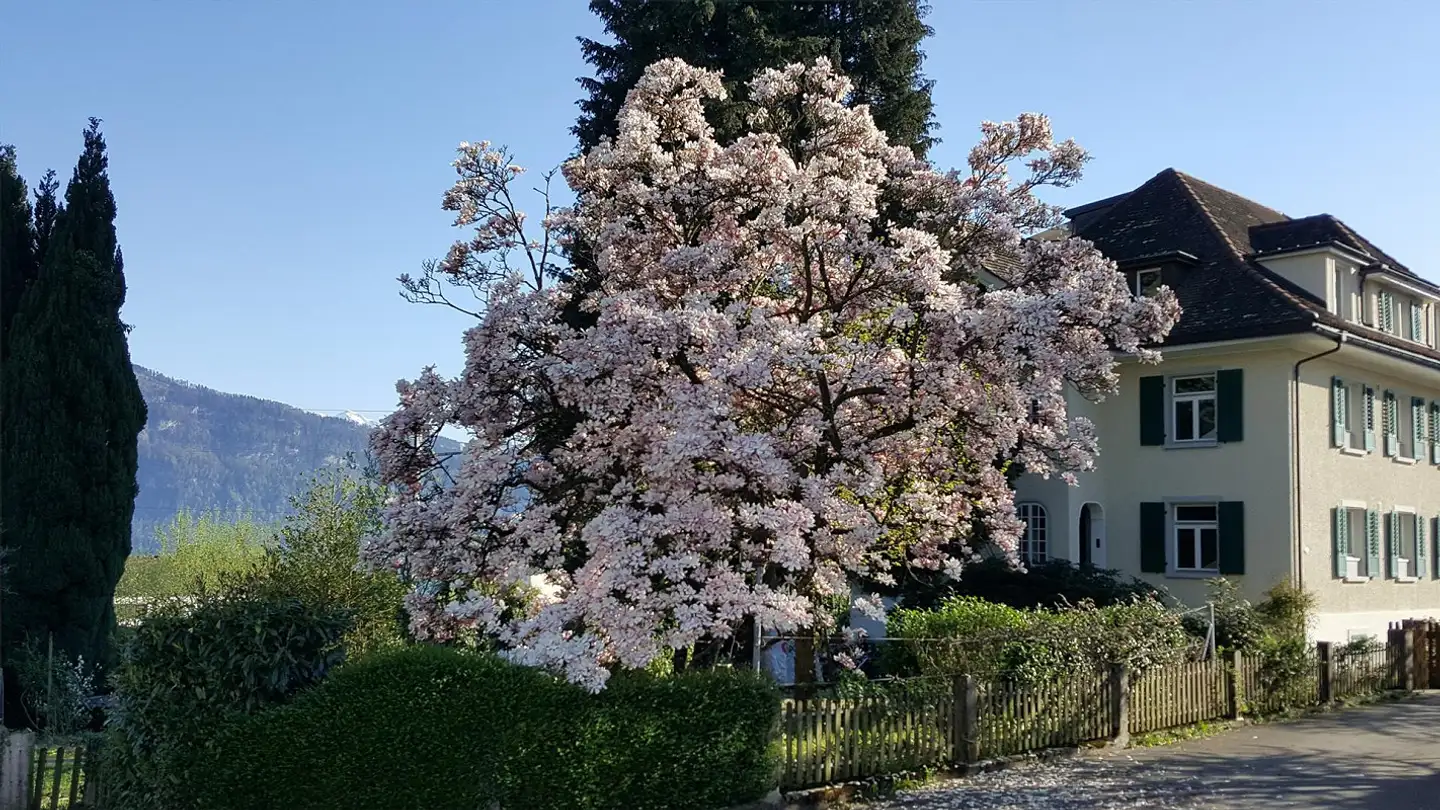 Appartement à louer - Salachstrasse 3, 6045 Meggen